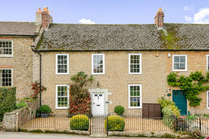 Grey Riggs- click for photo gallery